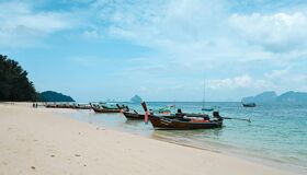 image-113